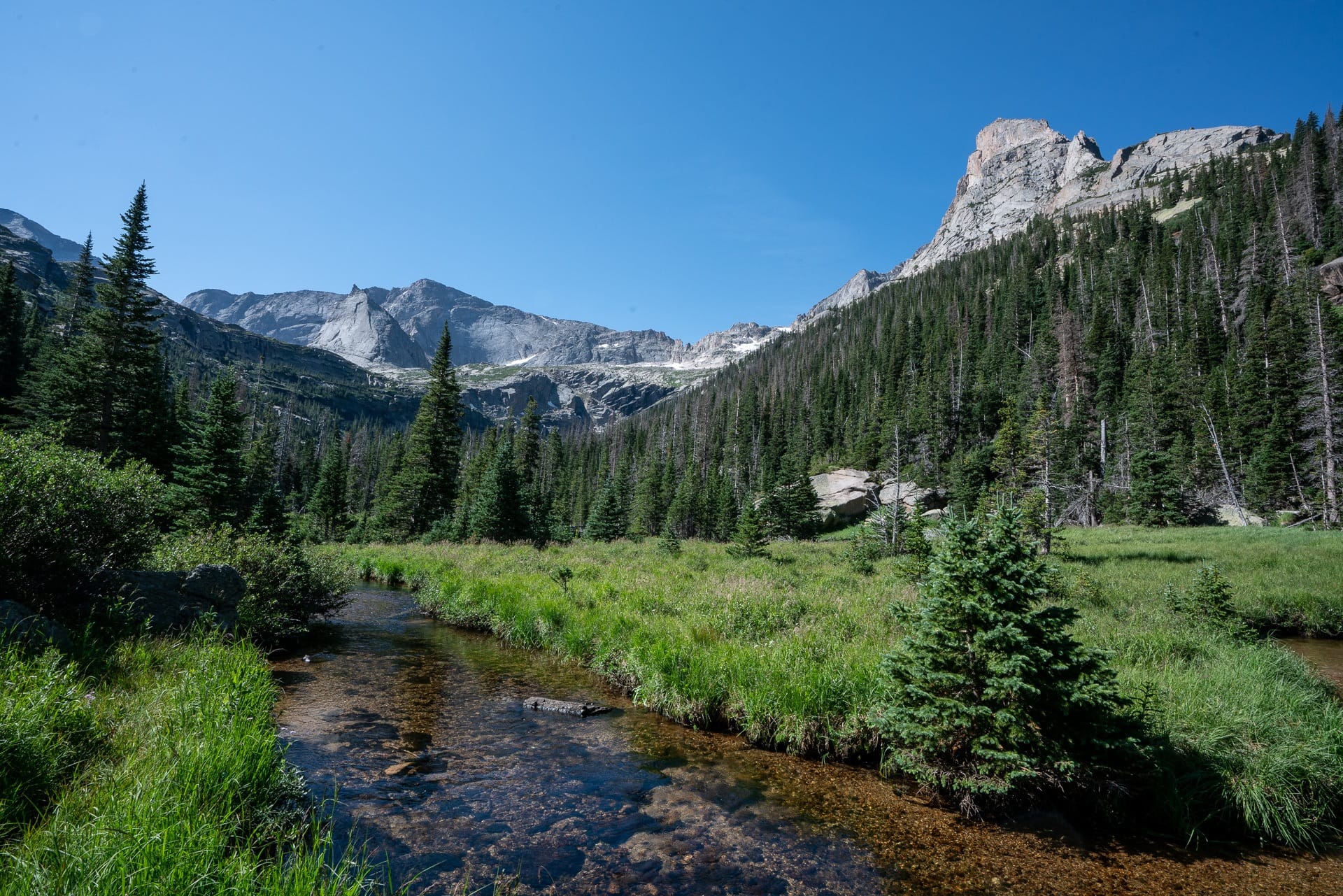 Black Lake Trail // Get our guide to the best day hikes in Rocky Mountain National Park including distances, trail descriptions, what to be prepared for, and more.
