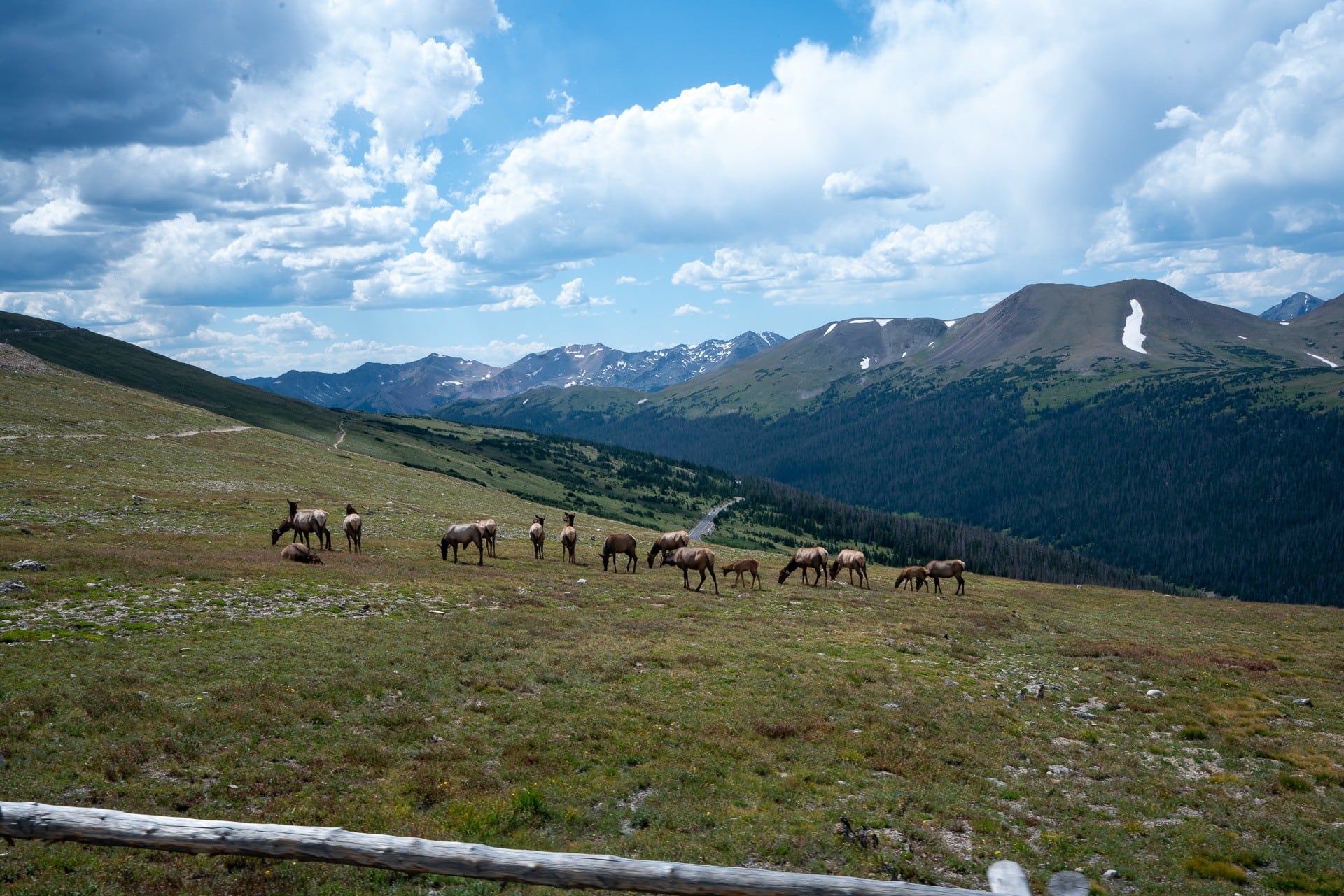 Get our top tips for visiting Rocky Mountain National Park including when to go, where to camp, hiking tips, how to beat the crowds, and more.