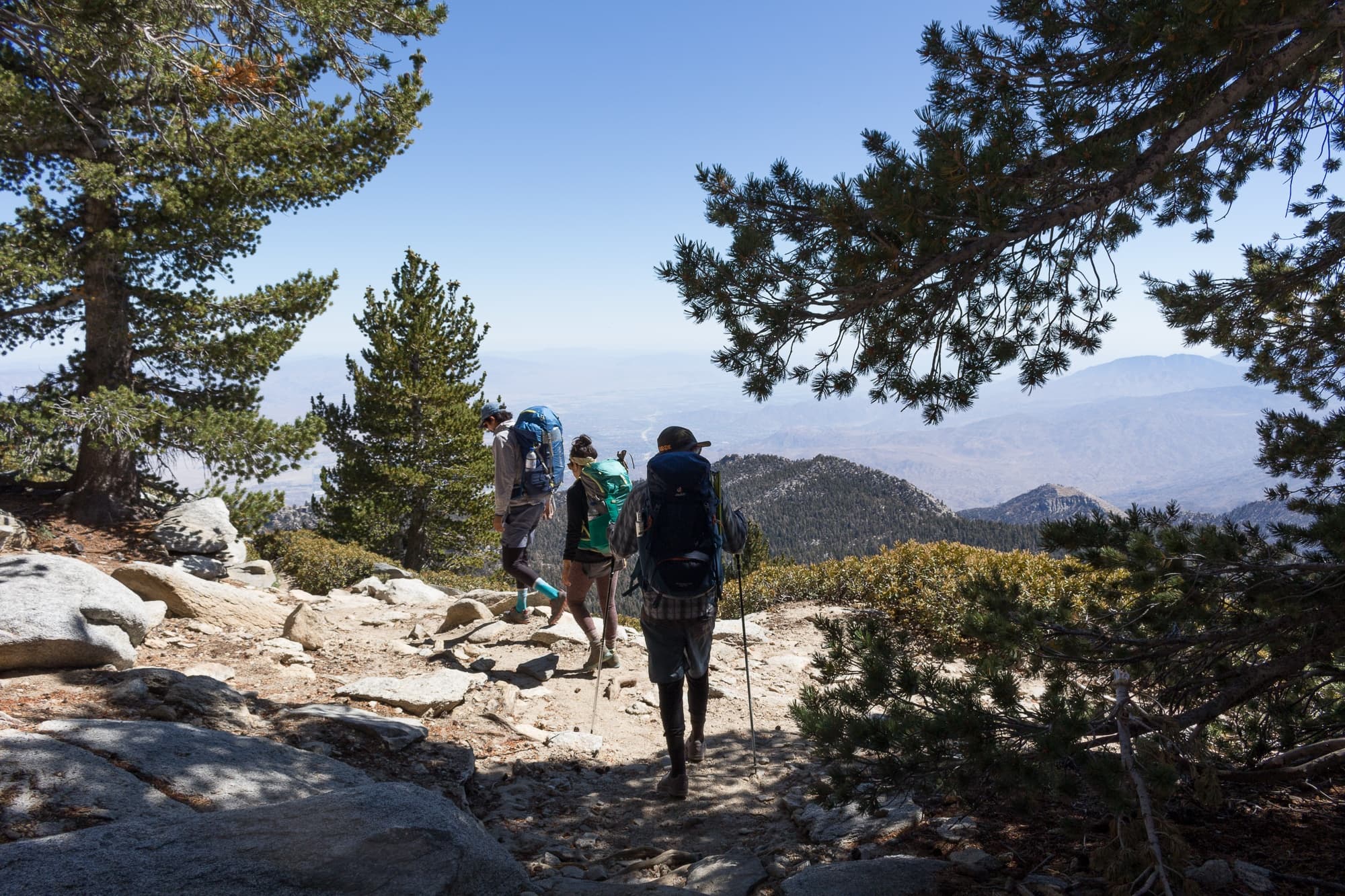 are dogs allowed in mount san jacinto state park