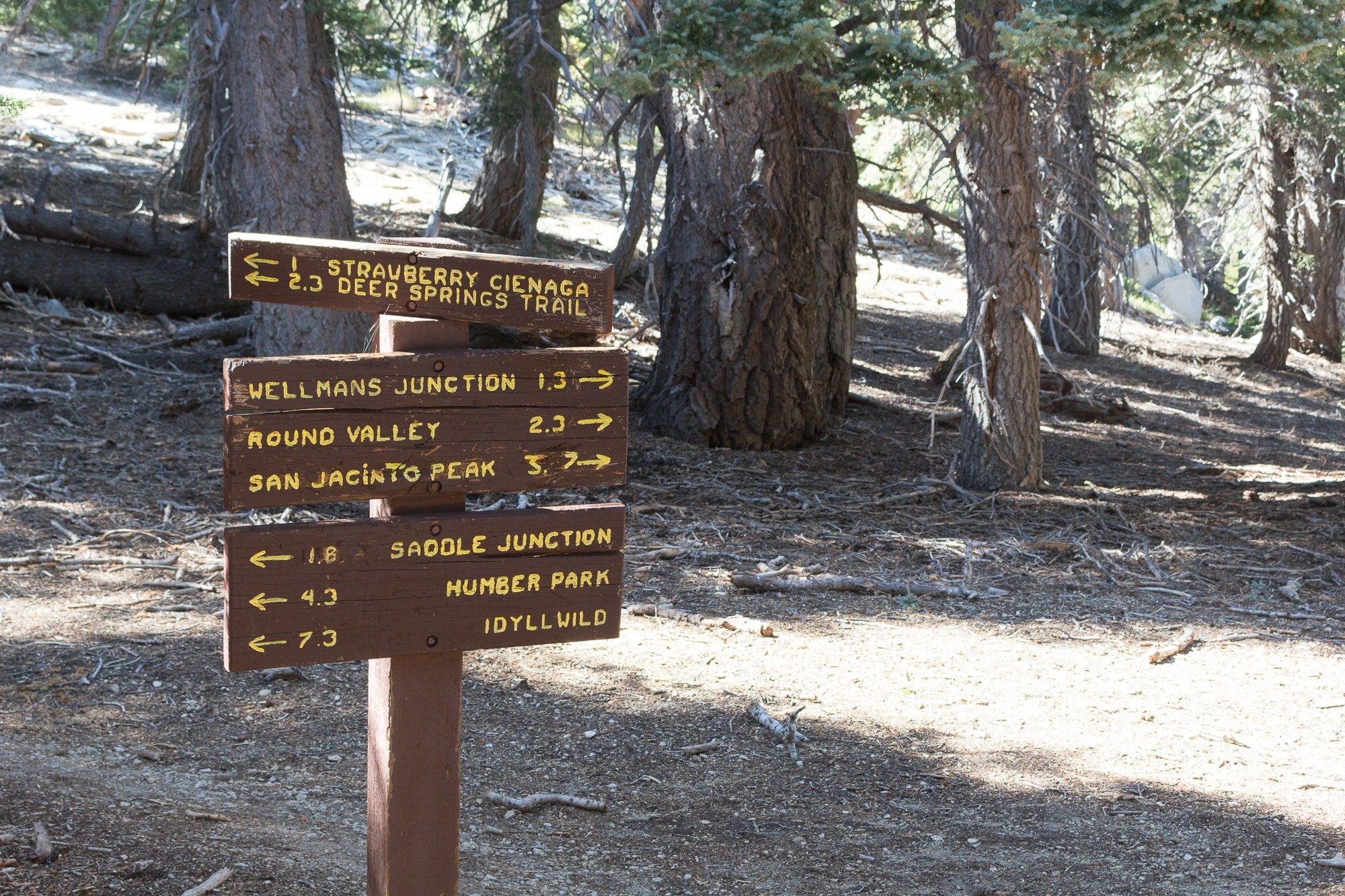 Backpacking Guide Hiking the San Jacinto Peak Loop Trail