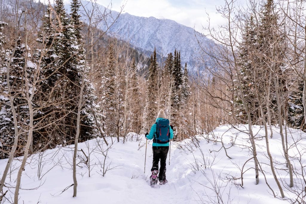 A woman snowshoes through barren trees on a flat path. She is carrying a daypack and wearing winter hiking clothes