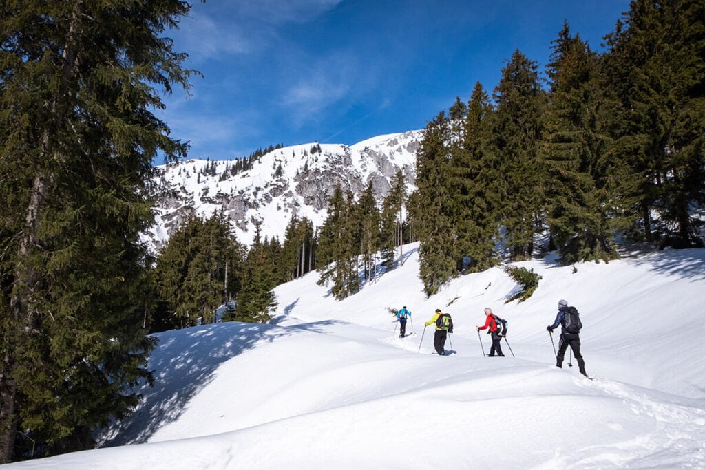 Four people snowshoeing in snowy terrain // Get beginner snowshoeing tips here