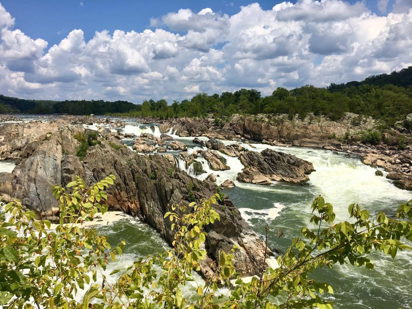 Great Falls Overlook // Looking for the best hikes in Maryland? Here are our 7 favorite Maryland trails including distances, descriptions, and local tips.