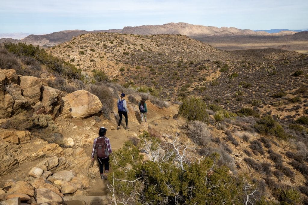 Headed to Joshua Tree National Park for the first time? Here's details on the 3 best Joshua Tree hikes, plus info on where to stay during your trip