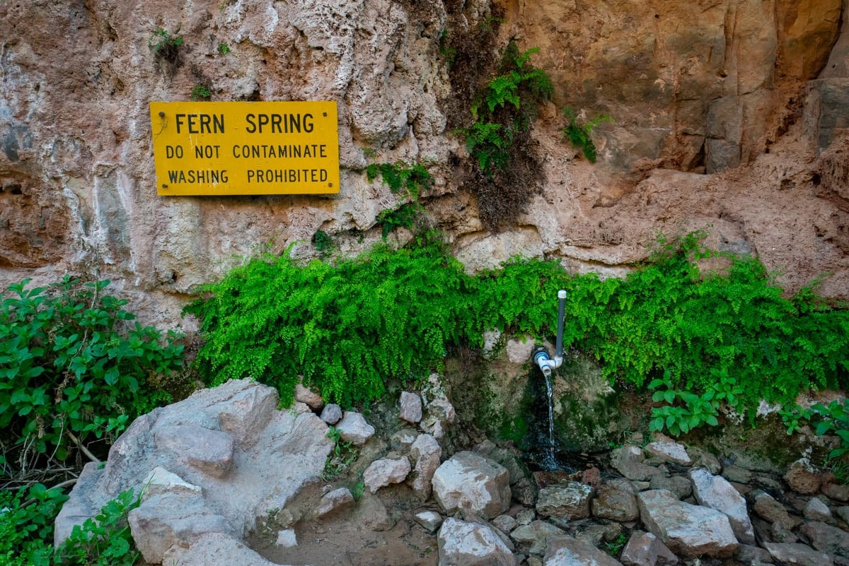 Fresh water spring at Havasu Falls campground