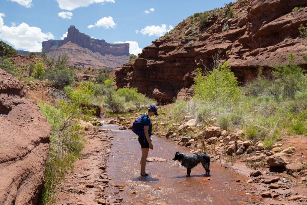 Woman standing in shallow river during a hike near Moab with dog