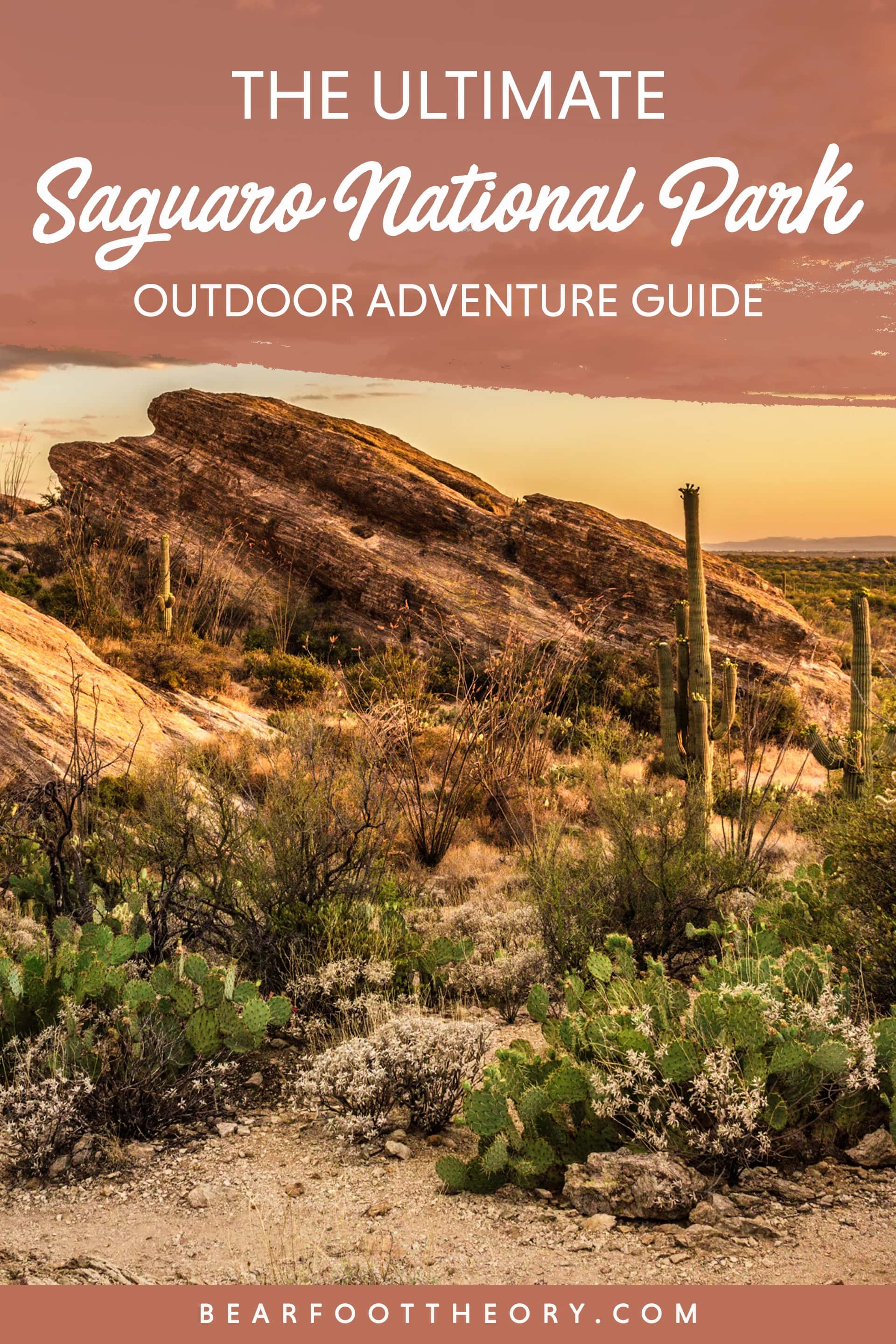 Ultimate Guide to Visiting Saguaro National Park With Kids