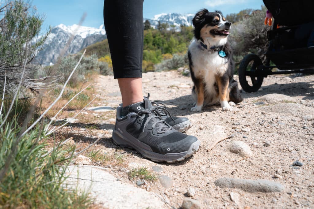 Do You Need Waterproof or Non-Waterproof Hiking Boots? – Bearfoot Theory