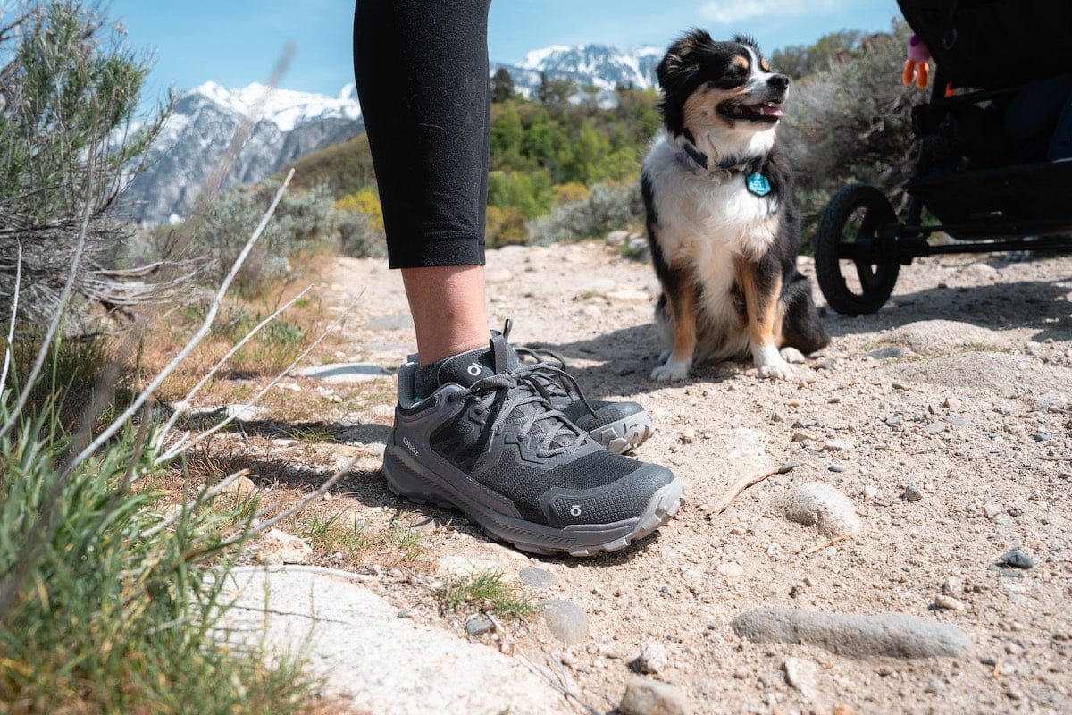 Light trail 2024 hiking shoes