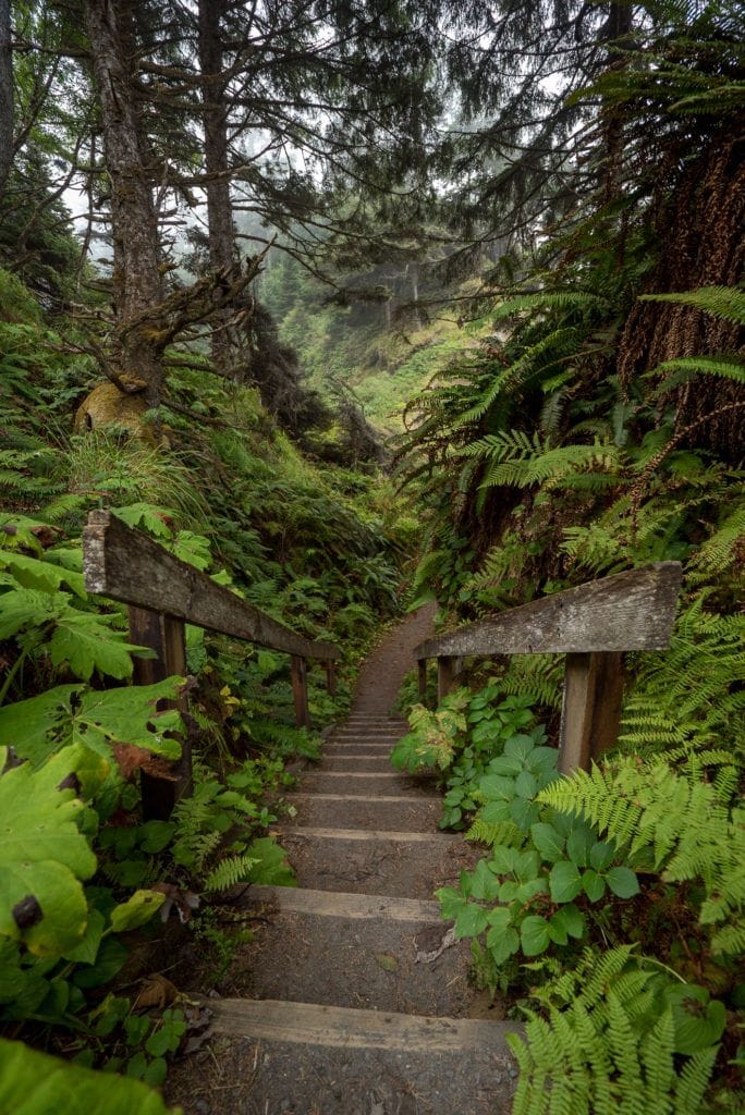 Get this detailed 6-day Olympic National Park Itinerary & road trip tips for the best hikes, campsites, beaches, & food in this incredible PNW wilderness.