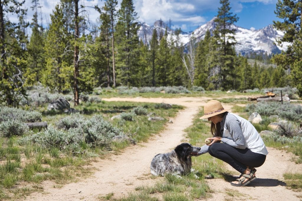 Woman kneeling down next to dog lying on ground on trail surrounded by forests with snow-capped mountains in the distance