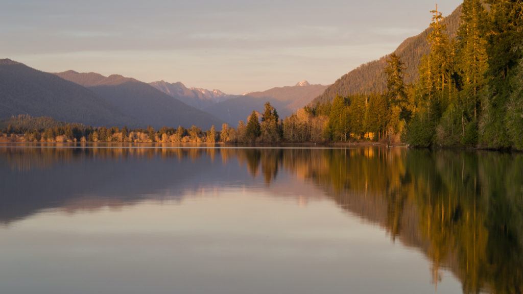 Lake Quinault