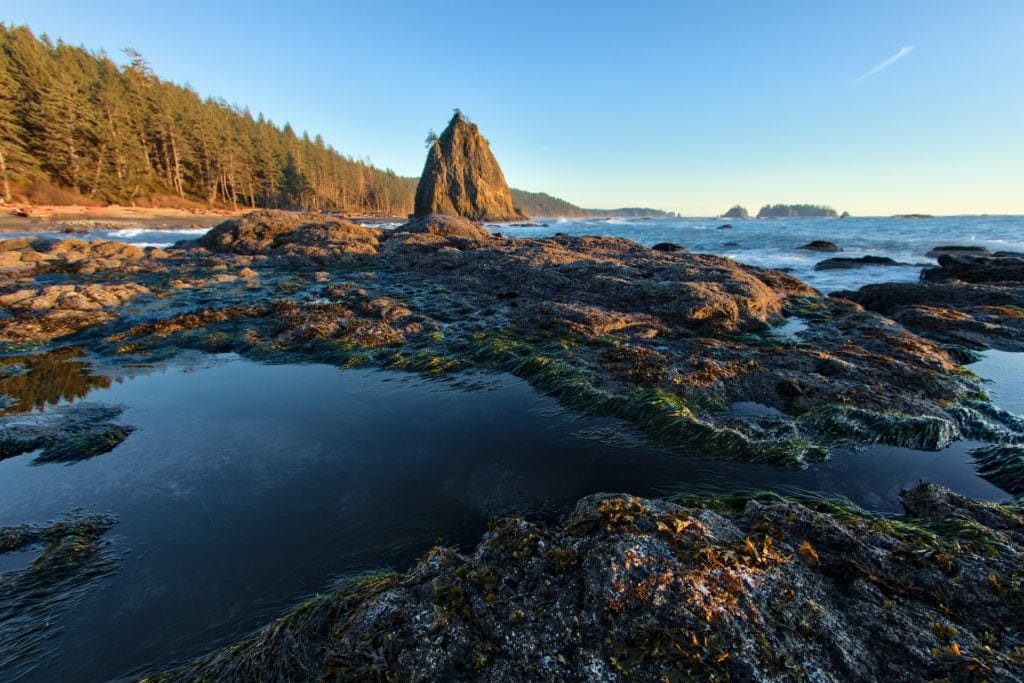 Rialto Beach // Get this detailed 6-day Olympic National Park Itinerary & road trip tips for the best hikes, campsites, beaches, & food in this incredible PNW wilderness.