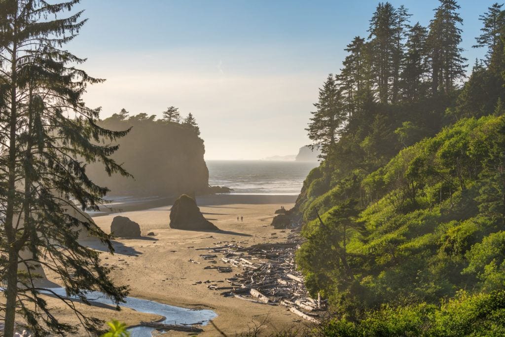 Ruby Beach // Get this detailed 6-day Olympic National Park Itinerary & road trip tips for the best hikes, campsites, beaches, & food in this incredible PNW wilderness.