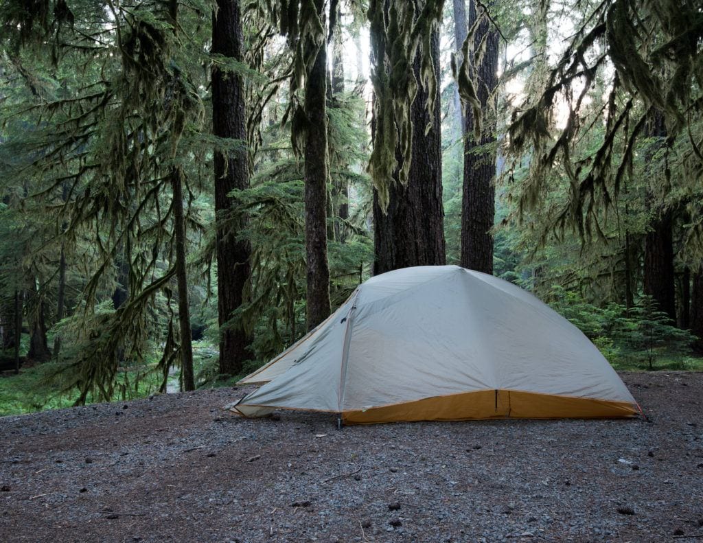 Get this detailed 6-day Olympic National Park Itinerary & road trip tips for the best hikes, campsites, beaches, & food in this incredible PNW wilderness.