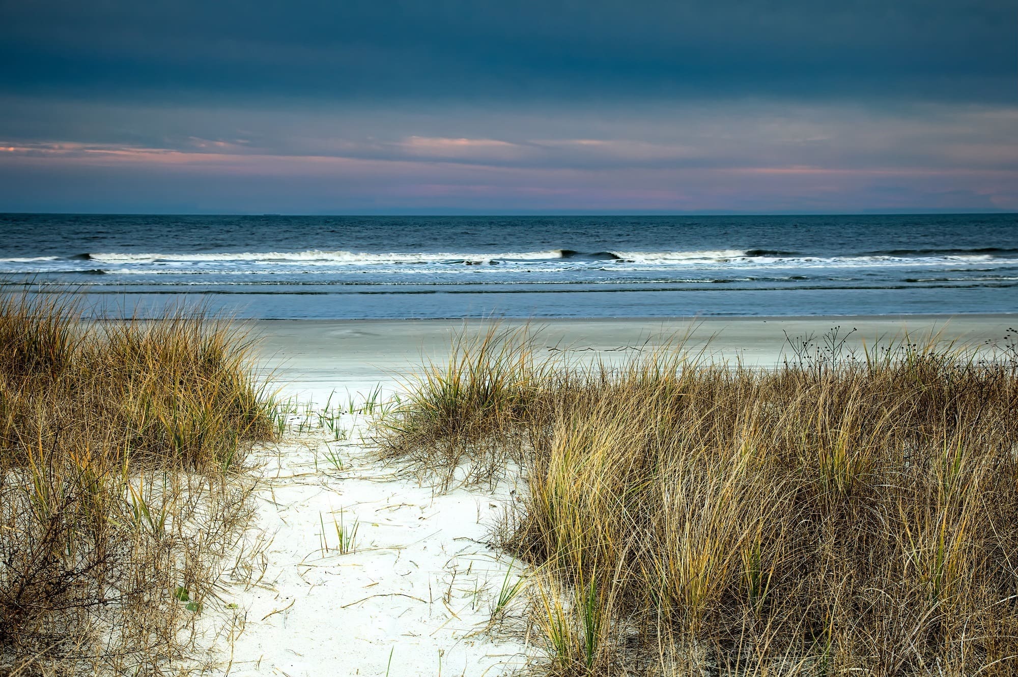 Hilton Head Island Outdoor Adventure Guide Bearfoot Theory