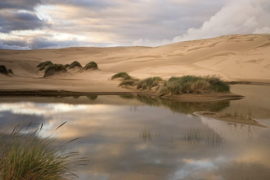 Oregon Dunes National Recreation Area // Discover the best sand dunes in the US from California to North Carolina including the Great Sand Dunes National Park the Outer Banks, & more.
