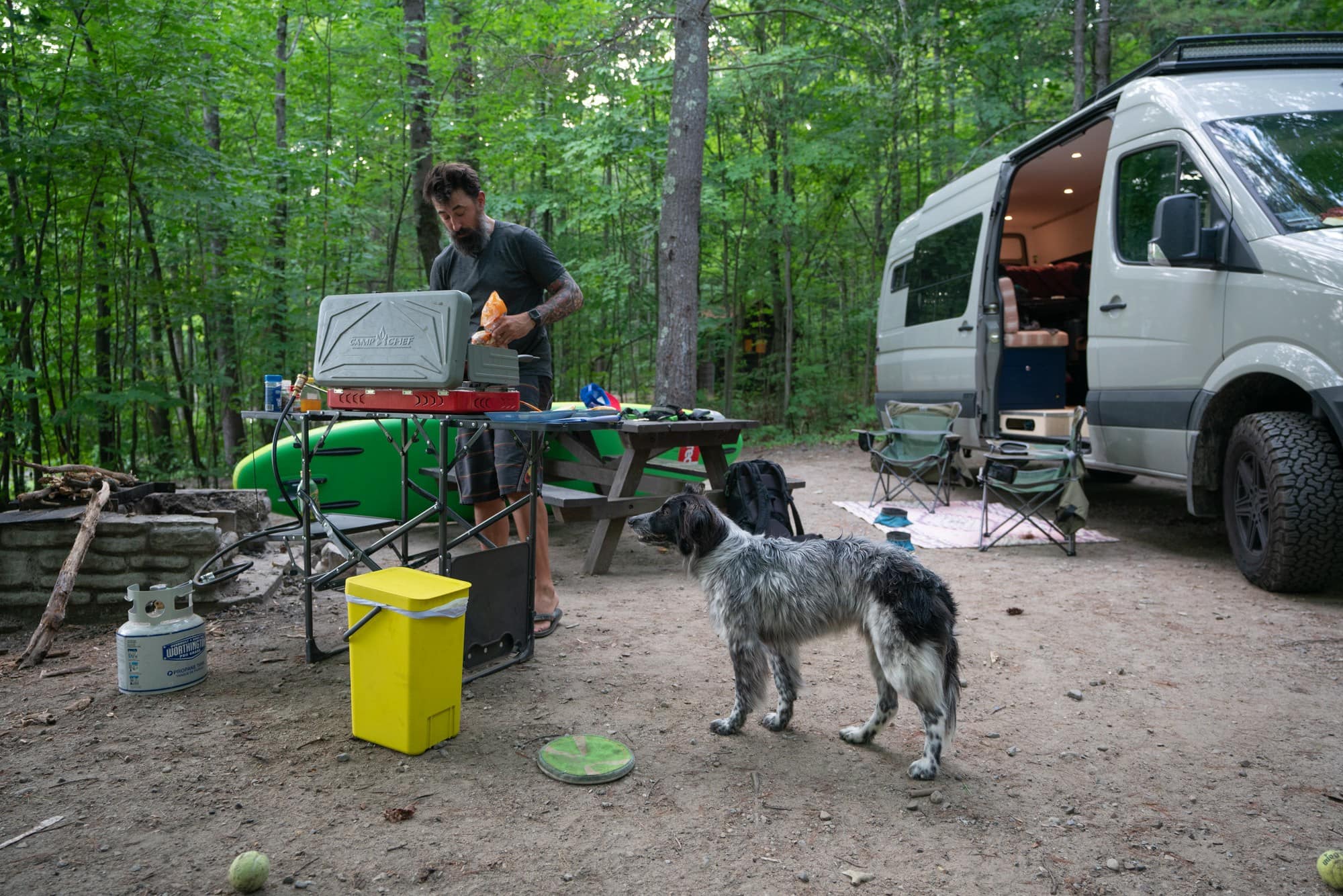 Van Life With Pets Bearfoot Theory
