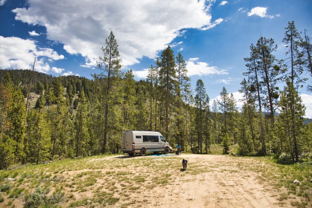 A free dispersed campsite in Sawtooth National Forest in Idaho wit a Sprinter van parked and dog outside