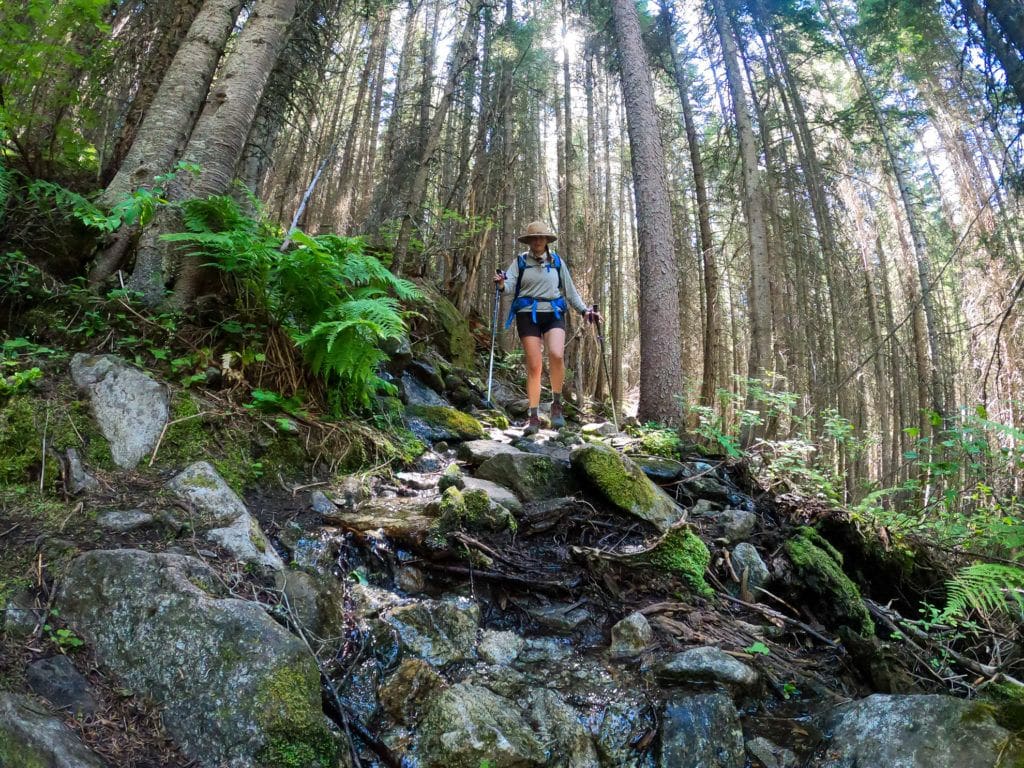 A woman hikes in the Pacific Northwest among tall trees and rocks