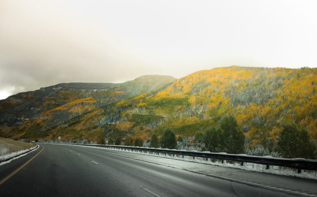 Golden aspen trees on the side of highway in Colorado