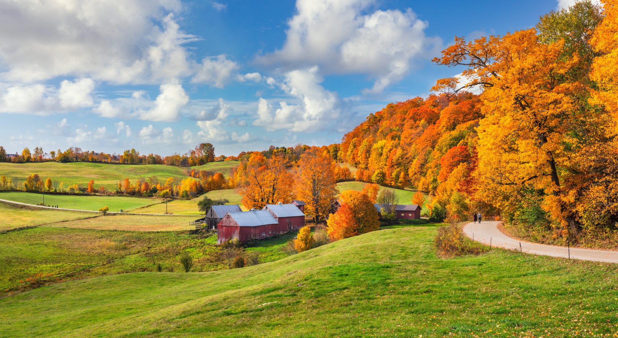 Vermont Fall Foliage