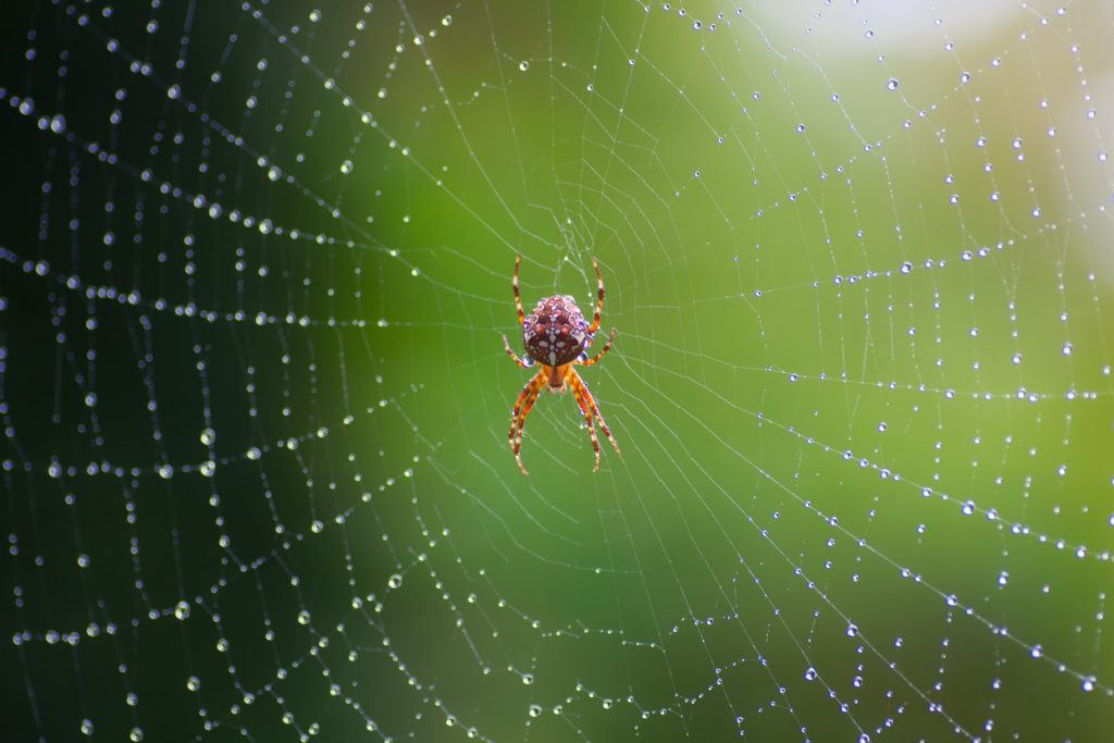 Get our tips for managing your outdoor fears whether you're scared of bugs, animals, getting lost, being a newbie, or being out of shape so you can get outside and adventure!