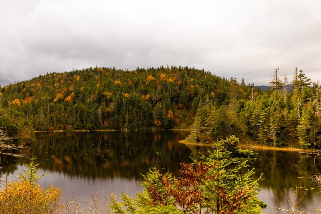 10 Best Places to See Fall Foliage in Vermont – Bearfoot Theory