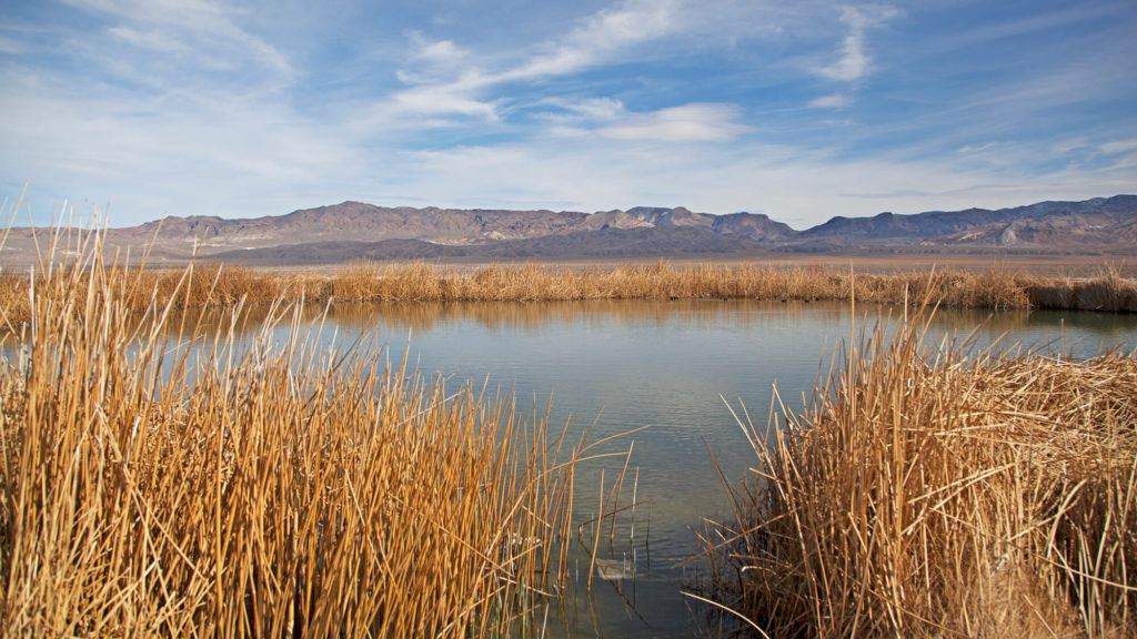 Fish Lake Valley Hot Springs // Check the map, grab your (birthday) suit, and head to one of these best hot springs in Nevada for the ultimate natural soak. 