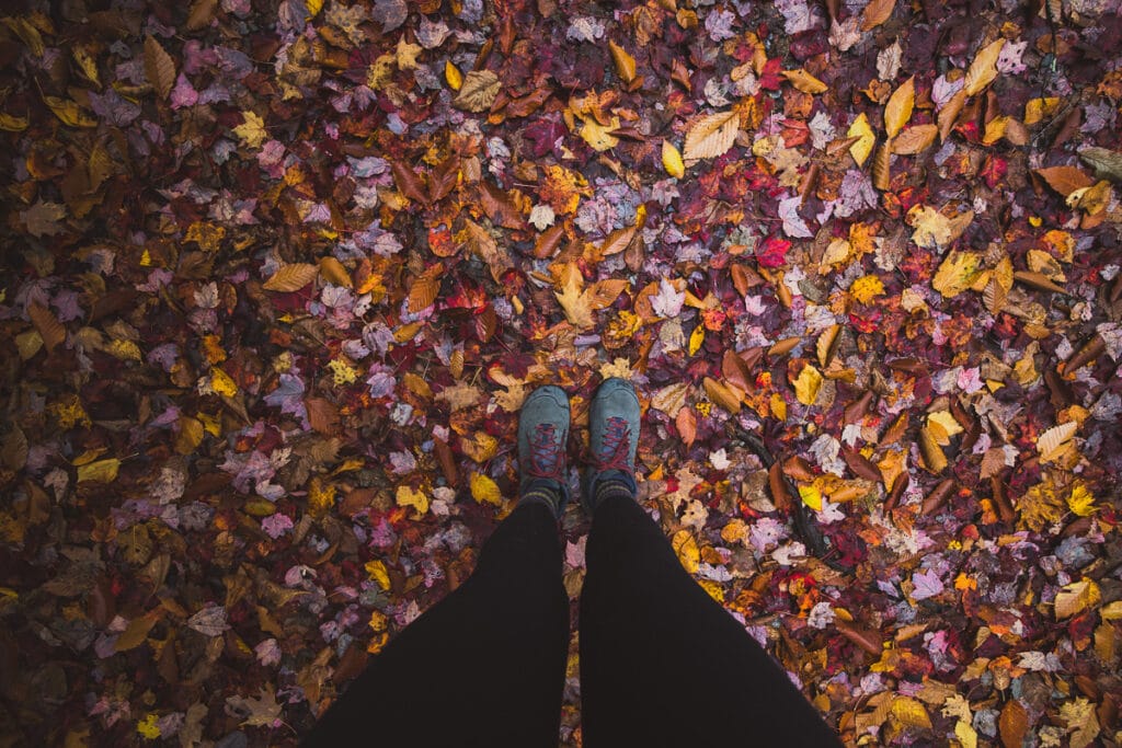 Oboz Sypes hiking boots on the ground with fall leaves