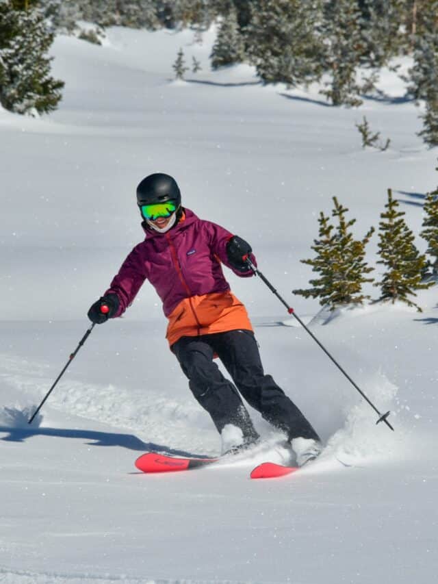 Ski Attire Bearfoot Theory