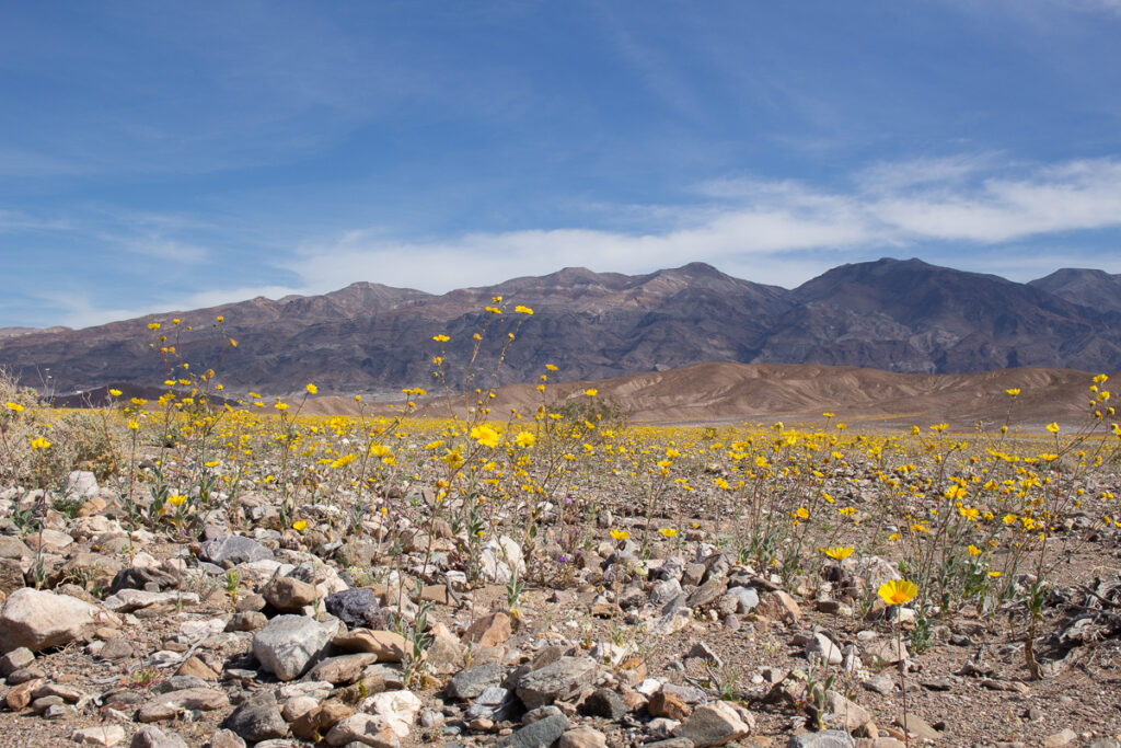 death valley trip from los angeles