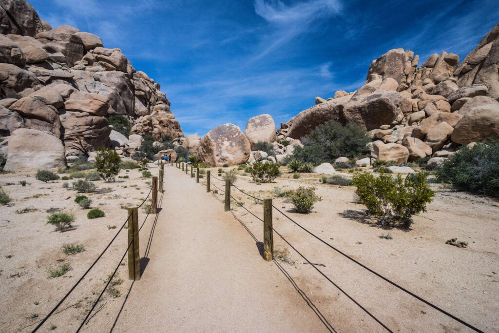 Joshua Tree National Park Waterfall