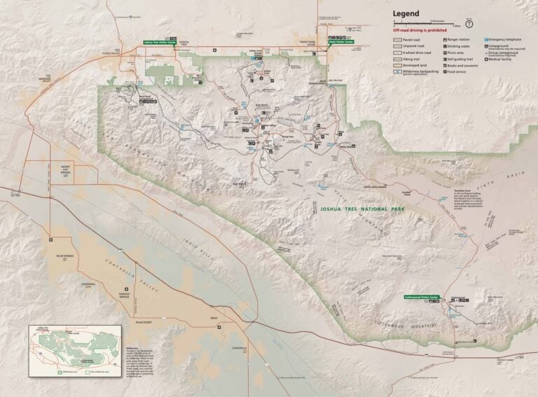 Best Joshua Tree Hikes for First-Time Visitors