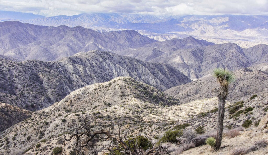 Warren Peak // Headed to Joshua Tree National Park for the first time? Here's details on the 3 best Joshua Tree hikes, plus info on where to stay during your trip