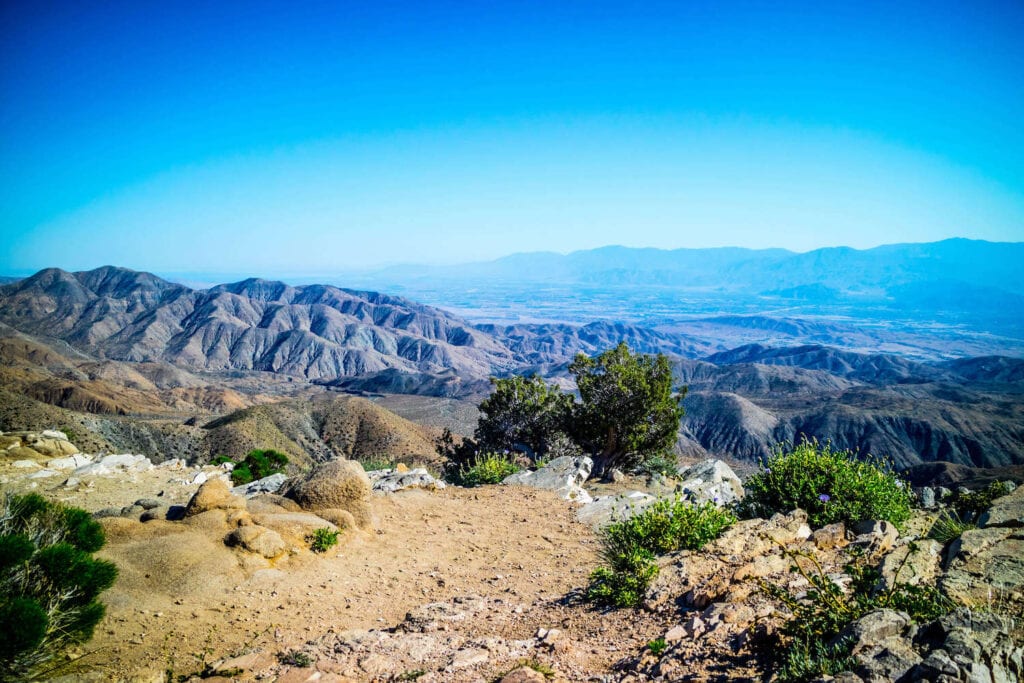 Ryan Mountain Trail // Headed to Joshua Tree National Park for the first time? Here's details on the 3 best Joshua Tree hikes, plus info on where to stay during your trip