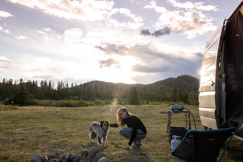 Wondering what van life with a dog is like? Here are tips for living in a van with pets and finding dog-friendly activities while traveling.