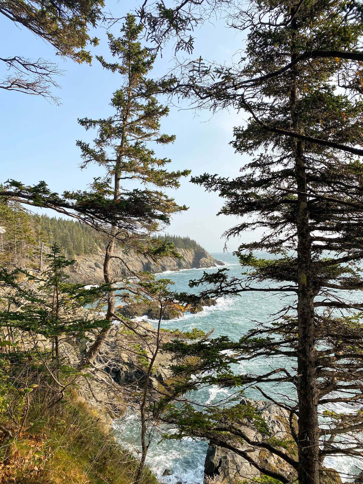 Maine Backpacking Guide Hiking the Cutler Coast Trail Bearfoot Theory