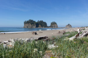 This guide to backpacking the South Coast Trail in Olympic National Park will prepare you for an epic beach backpacking trip in Washington.