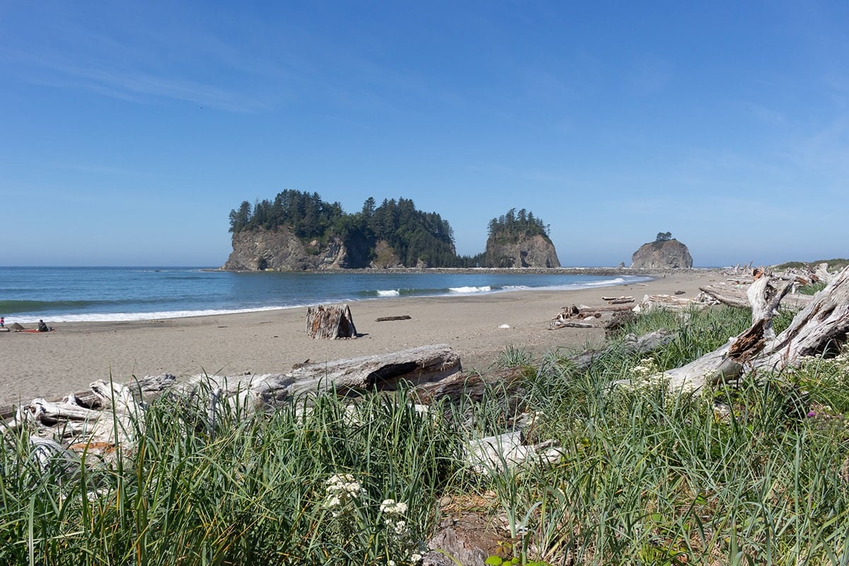 Best beach hikes 2025 olympic national park