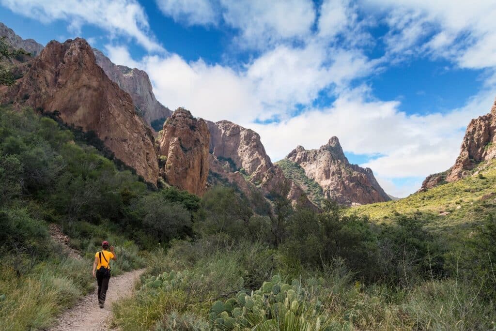 Hiker on trail in Big Bend National Park