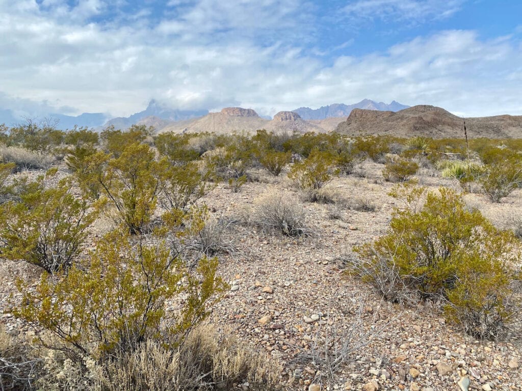 Big Bend National Park, Texas //  This travel guide includes the top things to do in Big Bend National Park including hiking, hot springs, river trips, and camping.