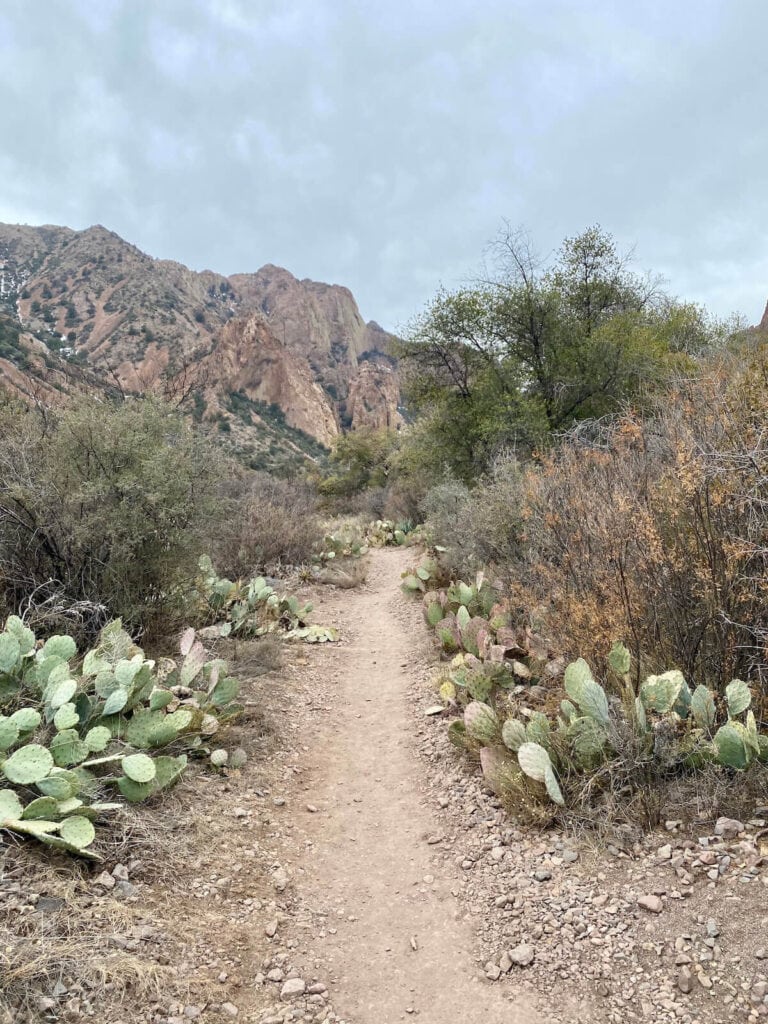 Hiking in Big Bend National Park, Texas