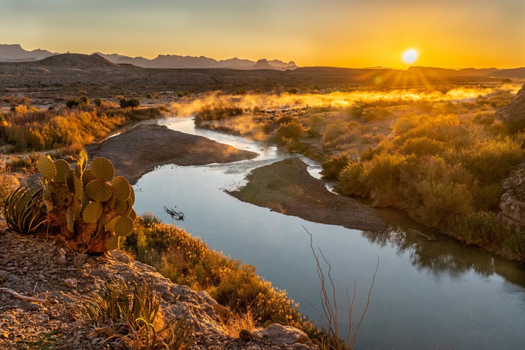 Are Dogs Allowed In Big Bend National Park Big Bend National Park Is ...