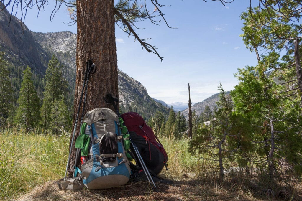 Packed backpacking backpacks leaning up against truck of tree