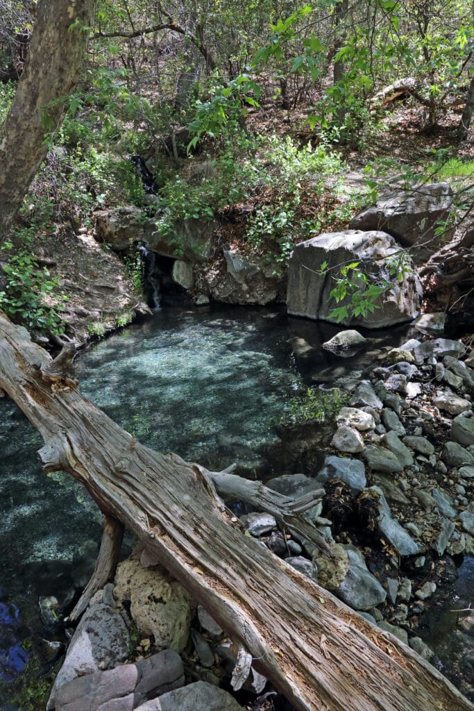 Jordan Hot Springs in Southern New Mexico // hike or backpack in Gila Wilderness to find these epic pools