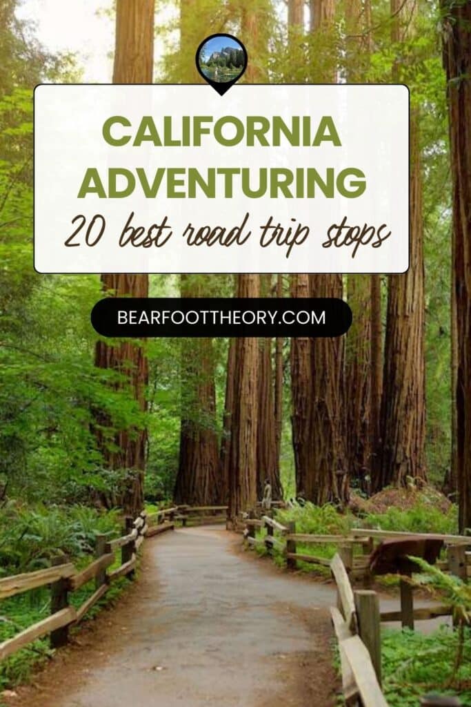 Paved path through Redwood forest. Text reads "California adventuring: 20 best road trip stops"