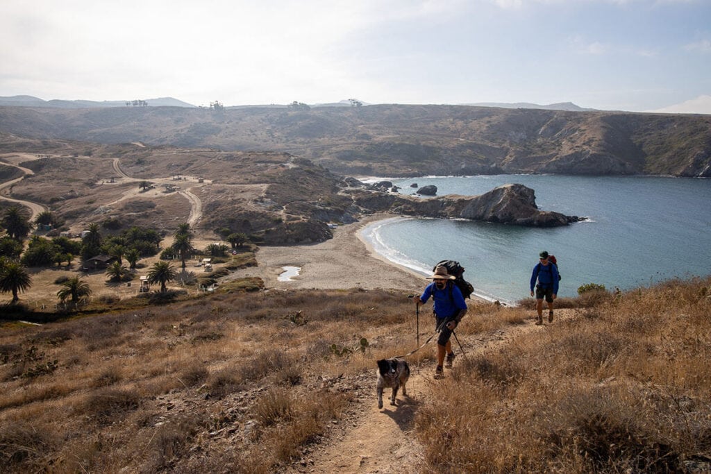 Learn the best safety tips for hiking with a dog so that you can make the most of your day on the trail with your furry friend.