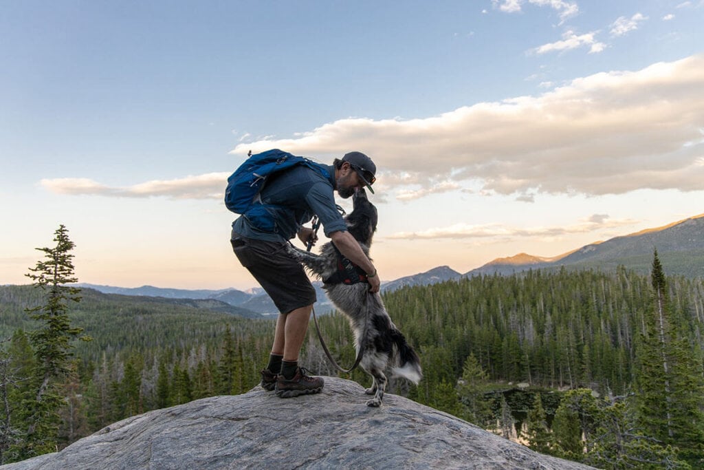 Learn the best safety tips for hiking with a dog so that you can make the most of your day on the trail with your furry friend.