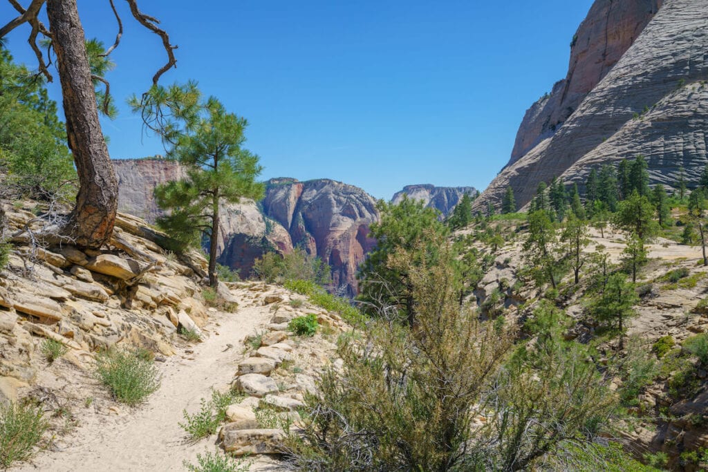 Plan your Zion West Rim Trail backpacking trip with this detailed guide that includes info on permits, campsites, gear, and more.